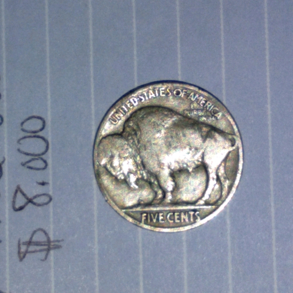 Buffalo nickle